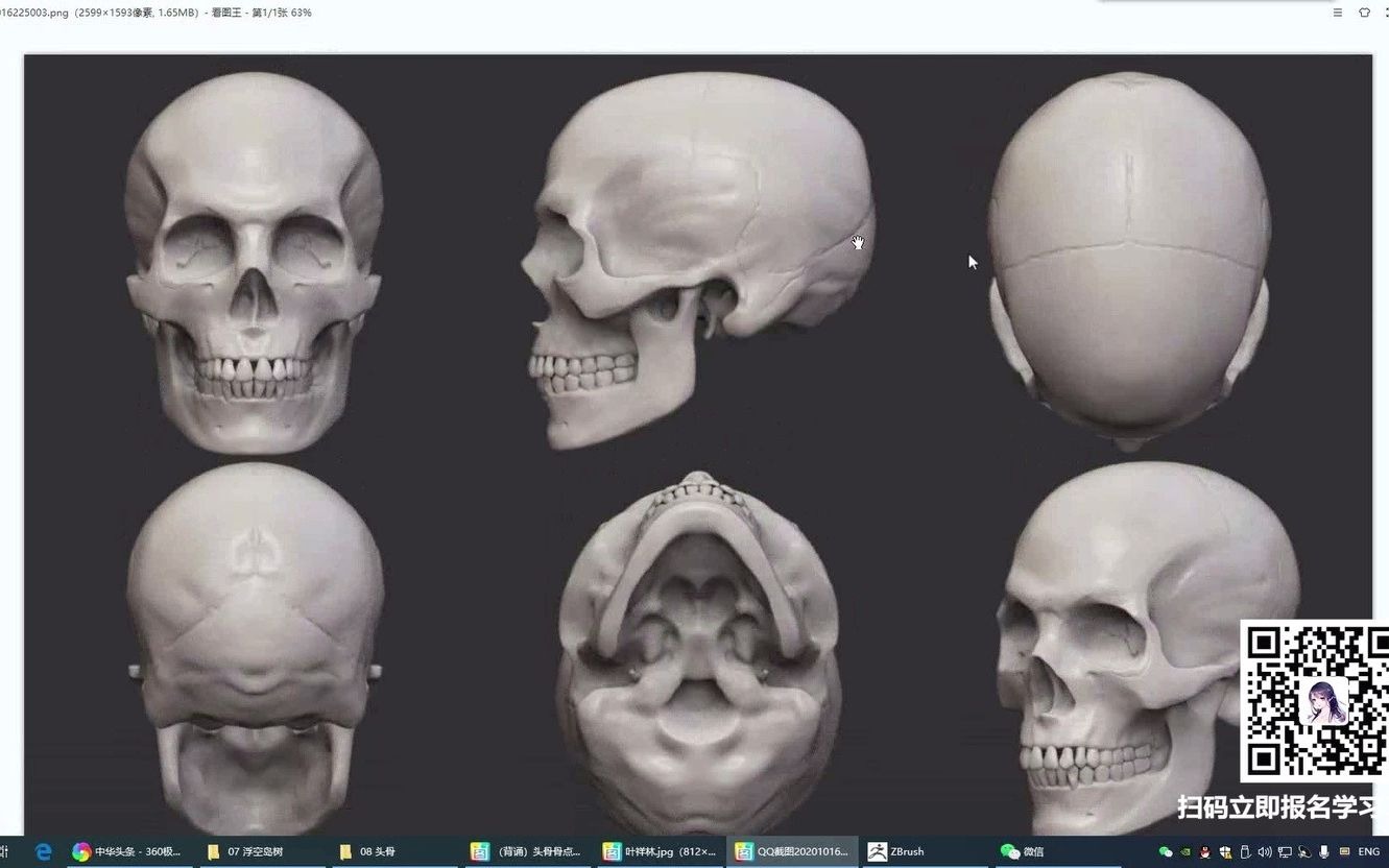 【ZBrush头骨建模】头骨制作流程 从入门到精通哔哩哔哩bilibili