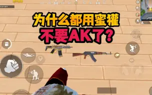 Download Video: 为什么现在都用蜜獾不用AK了？