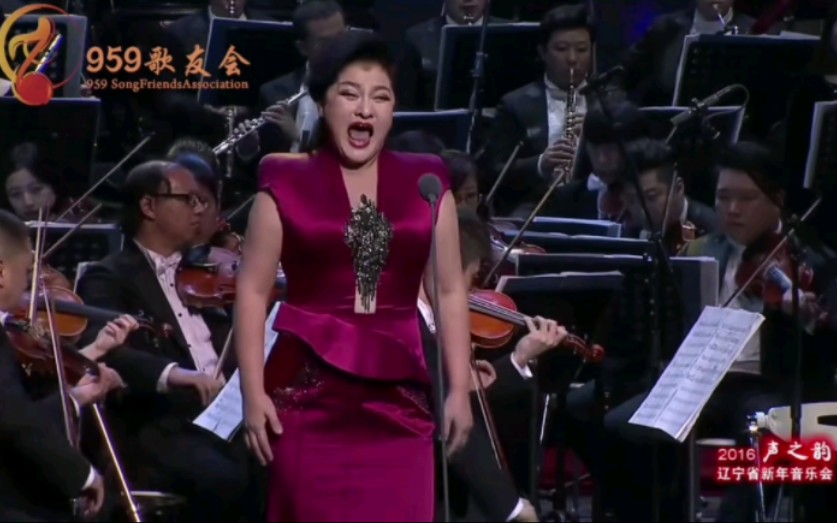 低音下不去就用怒音!著名花腔女抖音么红女士演唱 笑之歌 2016年哔哩哔哩bilibili