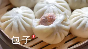 【小高姐】包子 几个蒸包子的诀窍 失败是一件很困难的事情