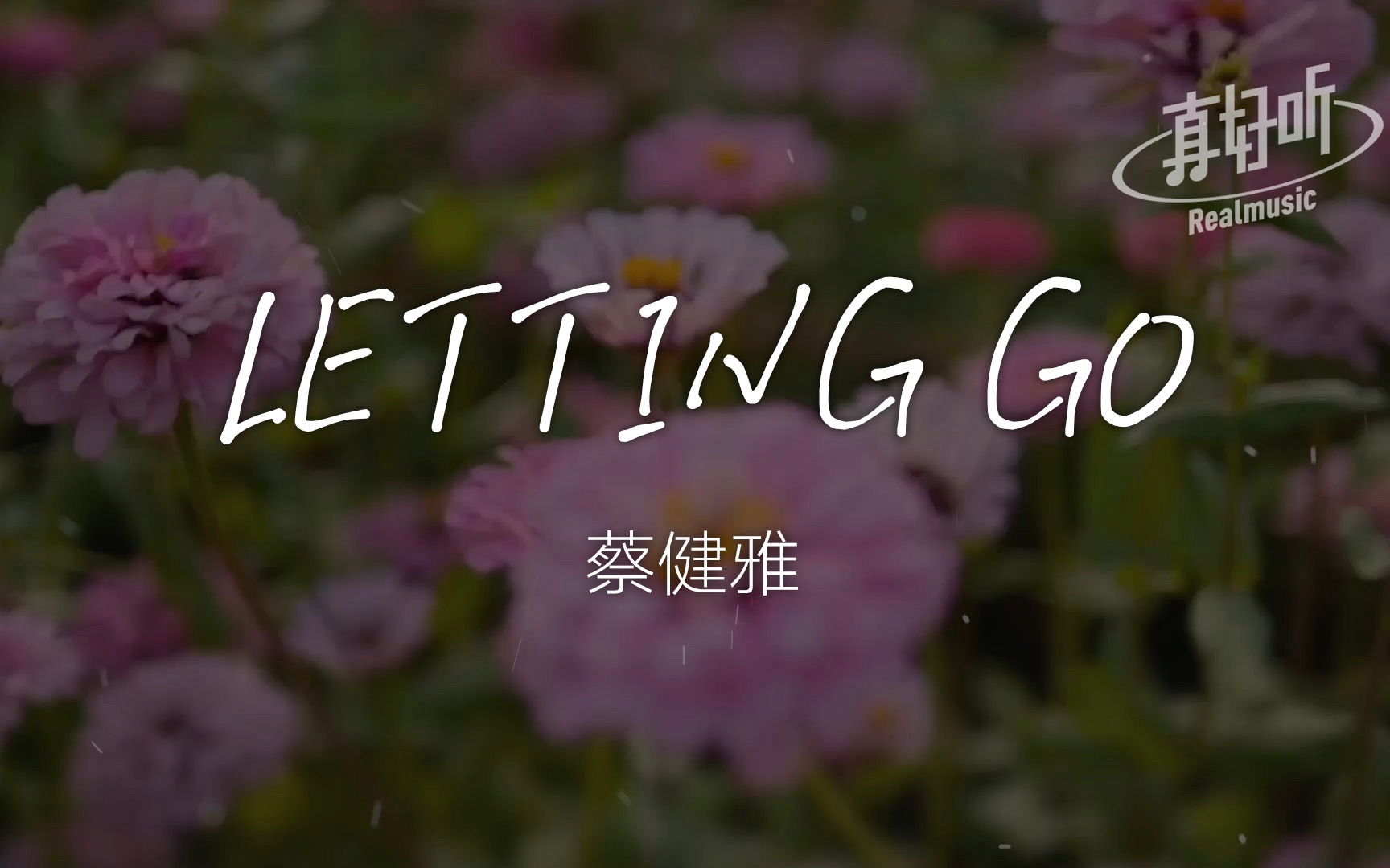 【抖音热曲】蔡健雅  LETTING GO|完整版|动态歌词LyricsVideo|无损音质哔哩哔哩bilibili