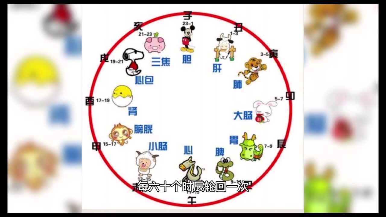 八字算命的原理是什么?算命都有哪些方法?哔哩哔哩bilibili