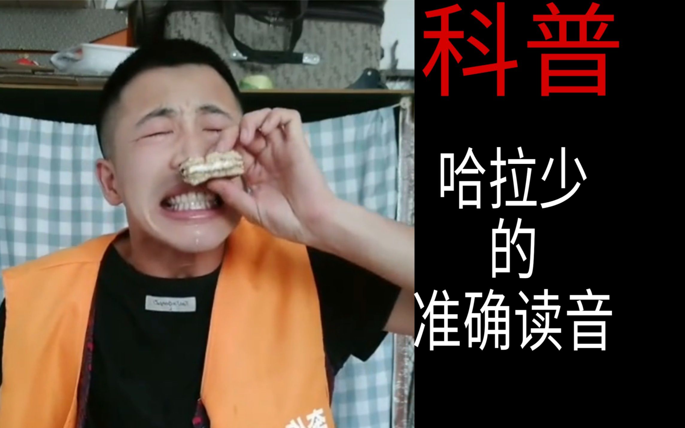 哈拉少的正确读音_哔哩哔哩_bilibili