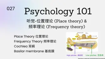 Скачать видео: Psychology101|听觉 - 位置理论 (Place Theory) 和频率理论 (Frequency Theory)