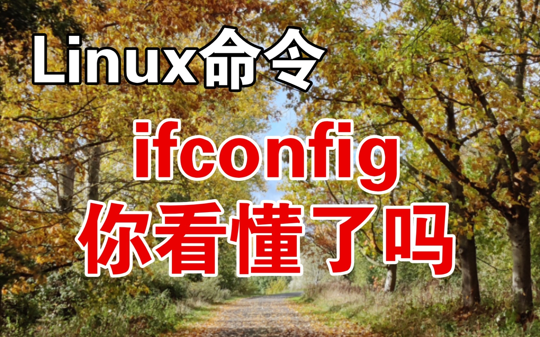 2分钟读懂Linux命令ifconfig的输出结果哔哩哔哩bilibili