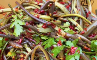 蕨菜怎么做 搜索结果 哔哩哔哩 Bilibili