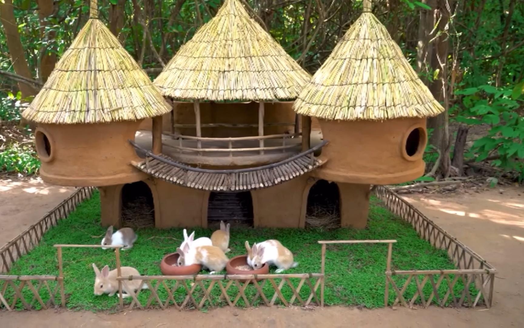 小伙为兔子建造别墅 太牛了