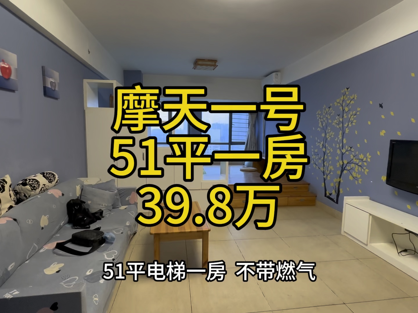 贺龙体育馆对面,51平电梯一房,住宅,总价39.8万,4梯23户.哔哩哔哩bilibili