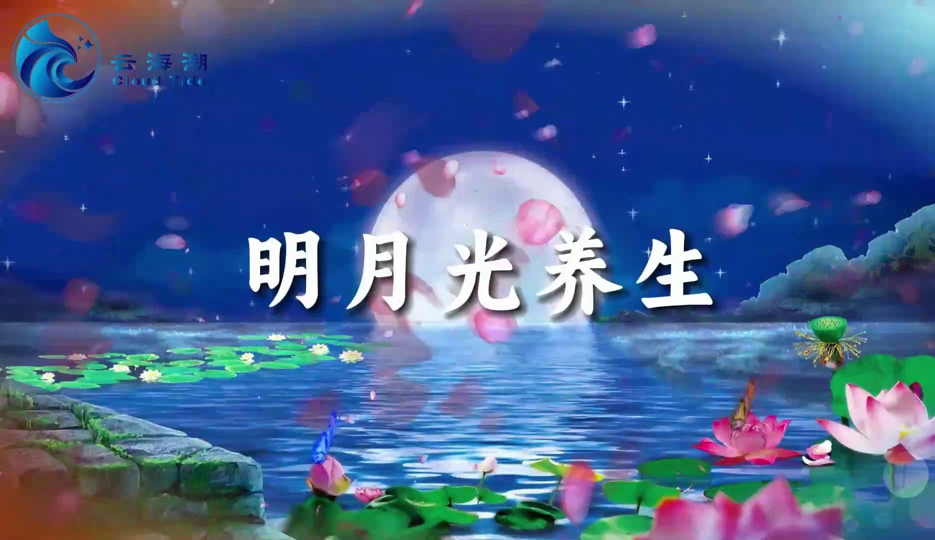 明月光养生哔哩哔哩bilibili