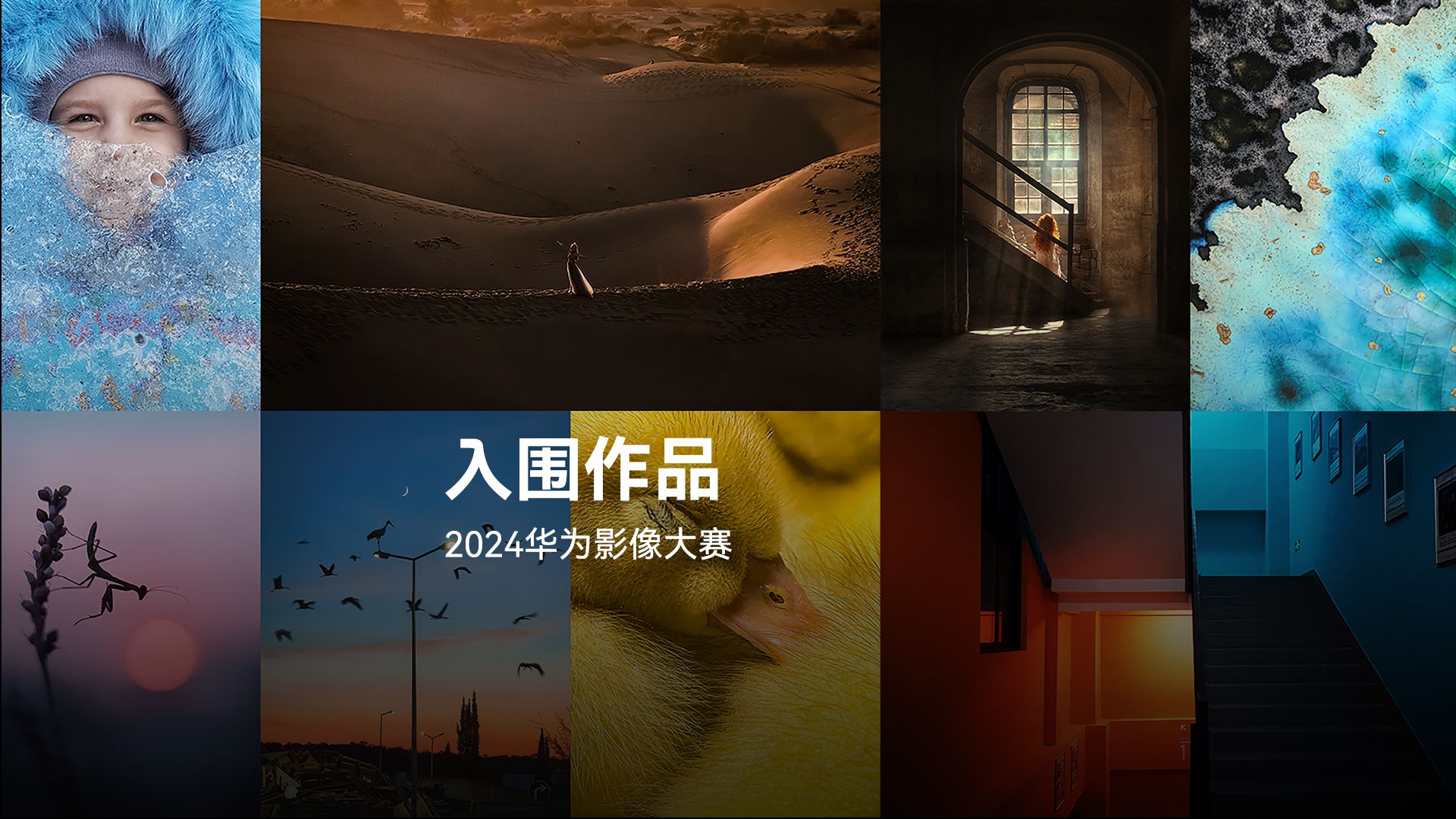 【2024华为影像大赛】入围作品哔哩哔哩bilibili