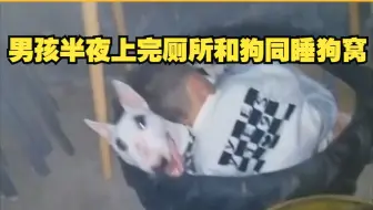 5岁男孩半夜上完厕所和狗同睡狗窝 ，爸爸：找半圈没找到，一看在狗窝。