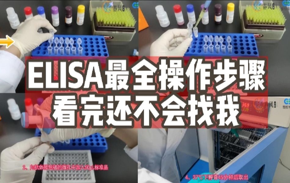 ELISA最全操作步骤,看完还不会找我【真的不难】哔哩哔哩bilibili