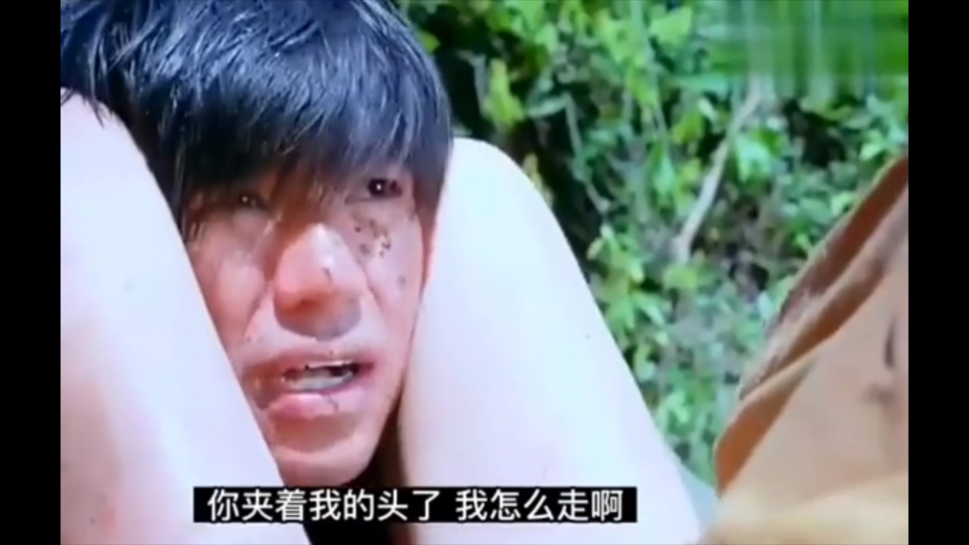 乌鸦哥搞笑视频