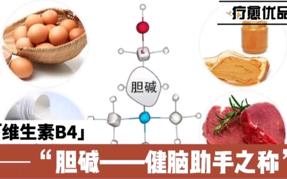 胆碱居然可以改善阿尔茨海默病患者的认知和记忆力,你知道吗?哔哩哔哩bilibili