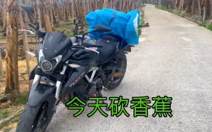 Descargar video: 黄龙600骑行 今天去砍香蕉