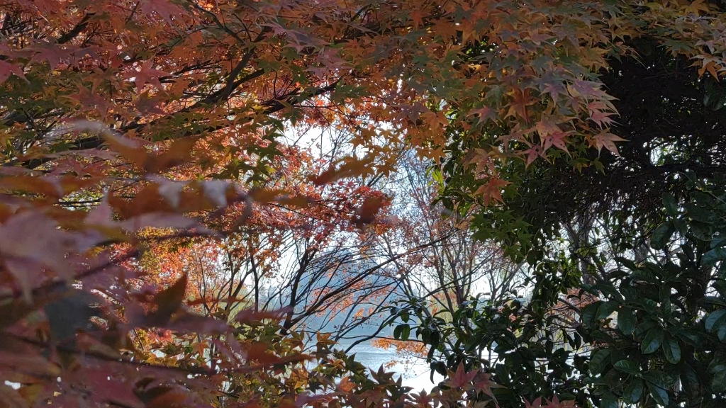 [图]周日·游金山寺