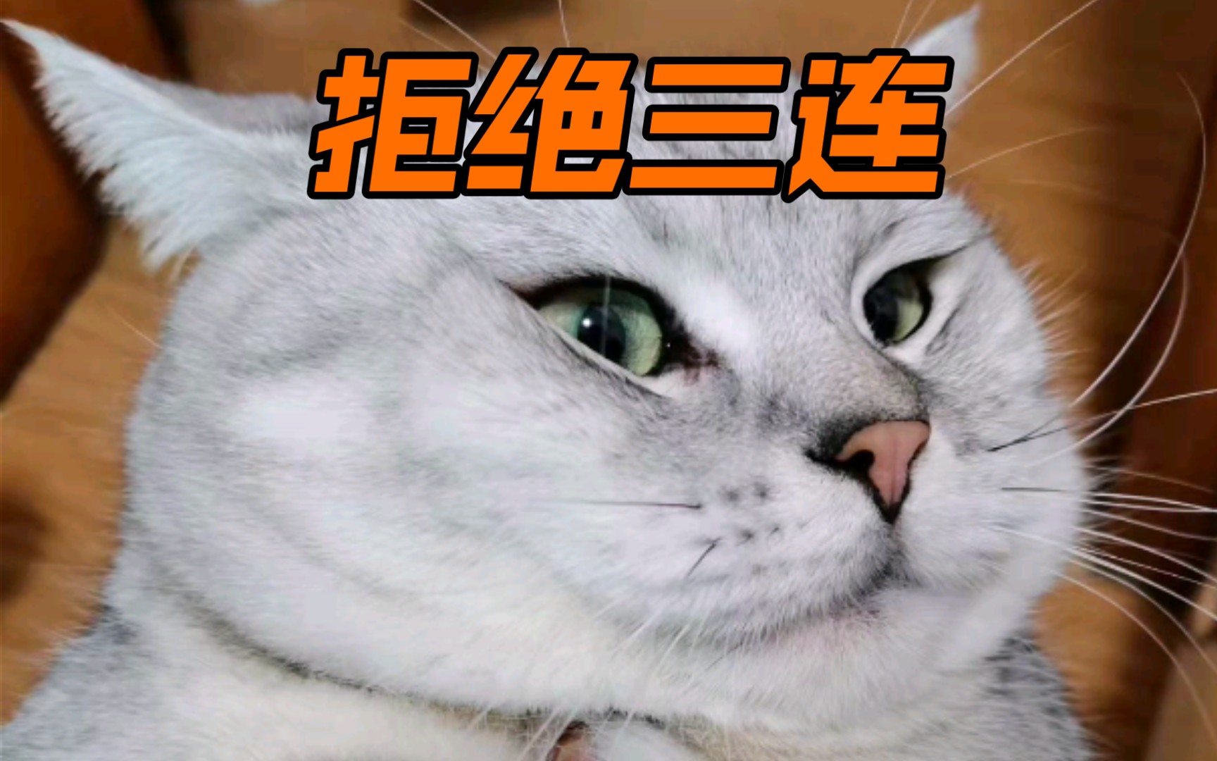 活动  舔也没用,拒绝三连