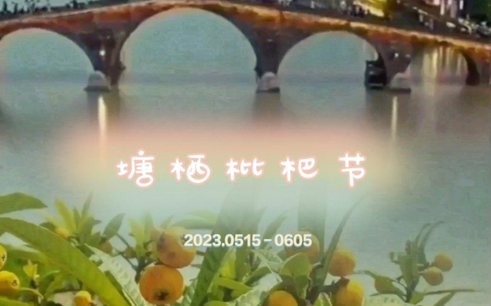 2023杭州塘栖枇杷节哔哩哔哩bilibili