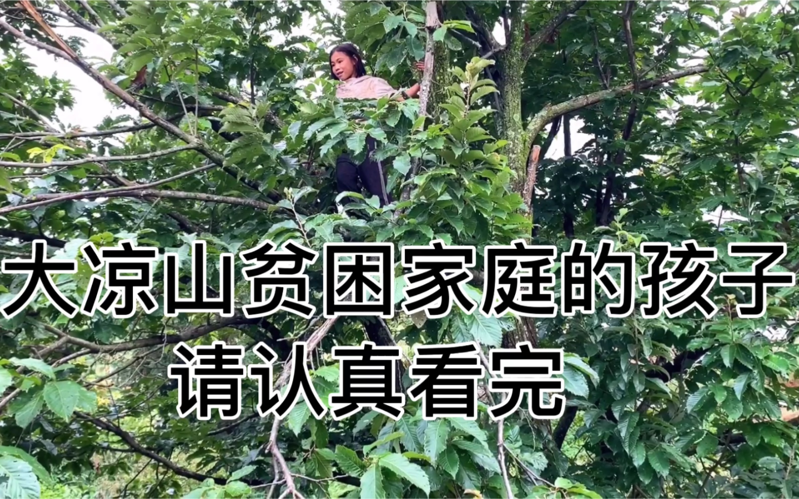 [图]大凉山12岁女孩，爷爷残疾，奶奶上了年纪，小小年纪扛上了生活的艰辛