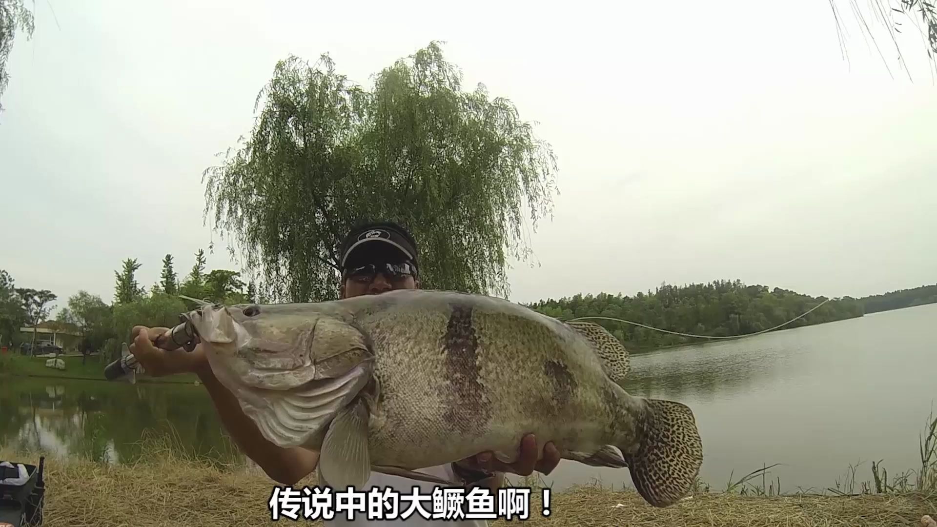 太豪横162斤大鳜鱼放流视频鳜鱼遇到你真好