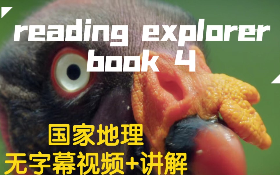 [图]国家地理Reading Explorer 4 全网首个无字幕视频+字幕讲解【12集全】