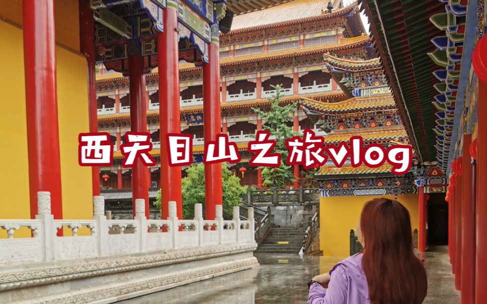 Vlog杭州临安西天目山旅行 | 禅源寺 | 我的一个道姑朋友 | 2021.6哔哩哔哩bilibili