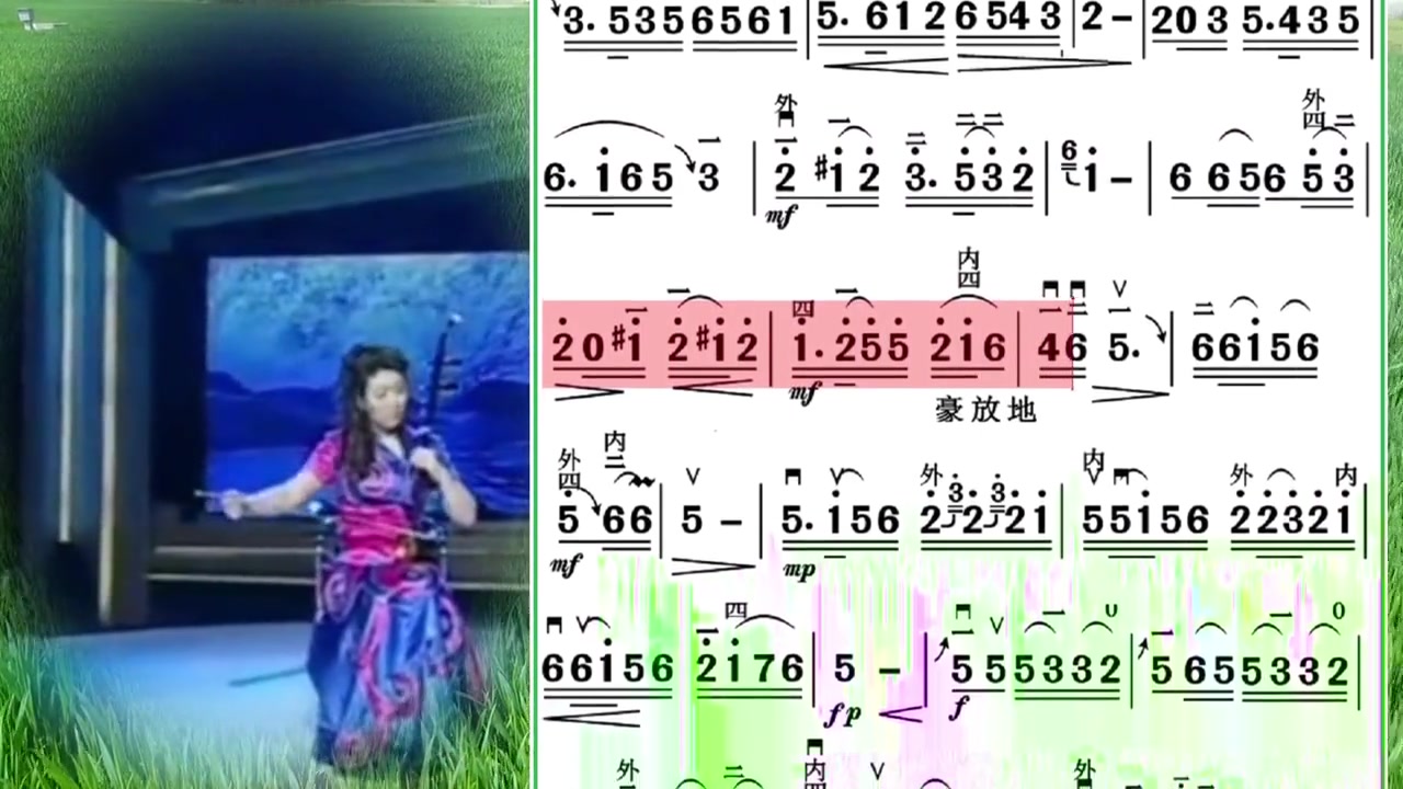 宋飞大师二胡独奏一枝花 视唱练耳 学琴 乐理知识