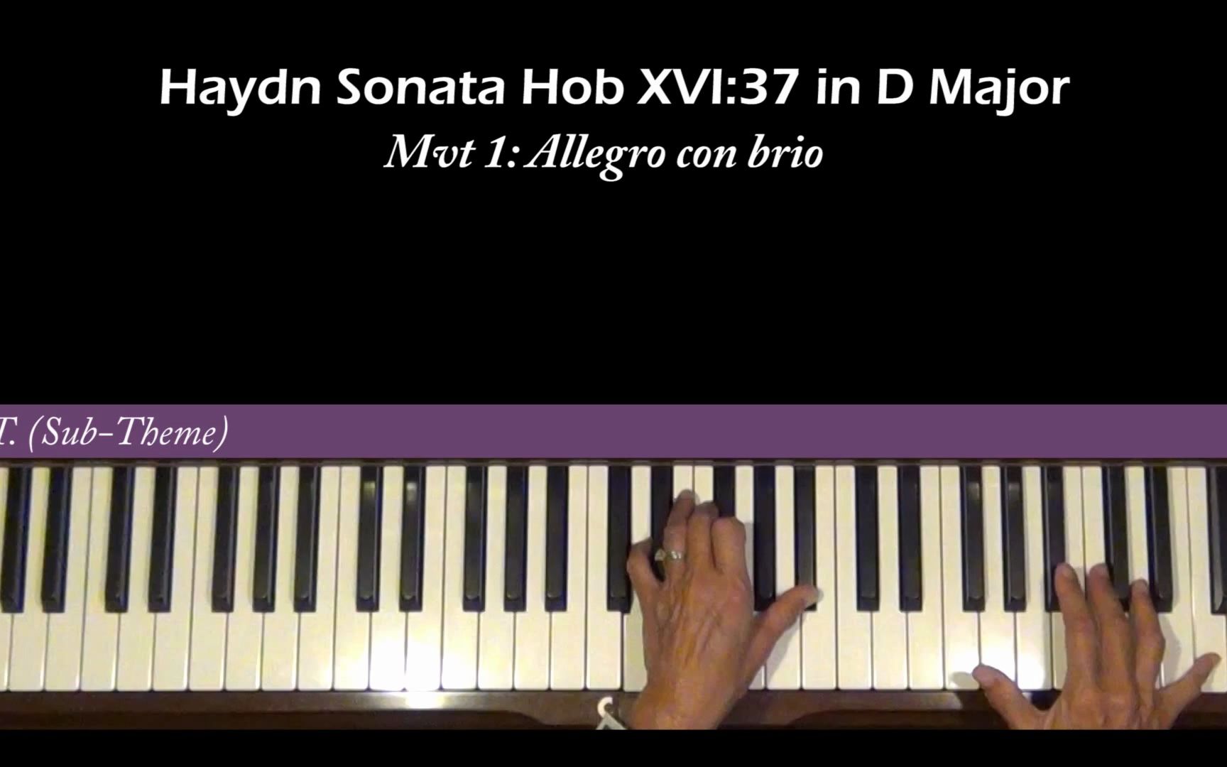 [图]海顿D大调奏鸣曲第一乐章 Haydn Sonata Hob XVI 37 1st mvt Piano Tutorial