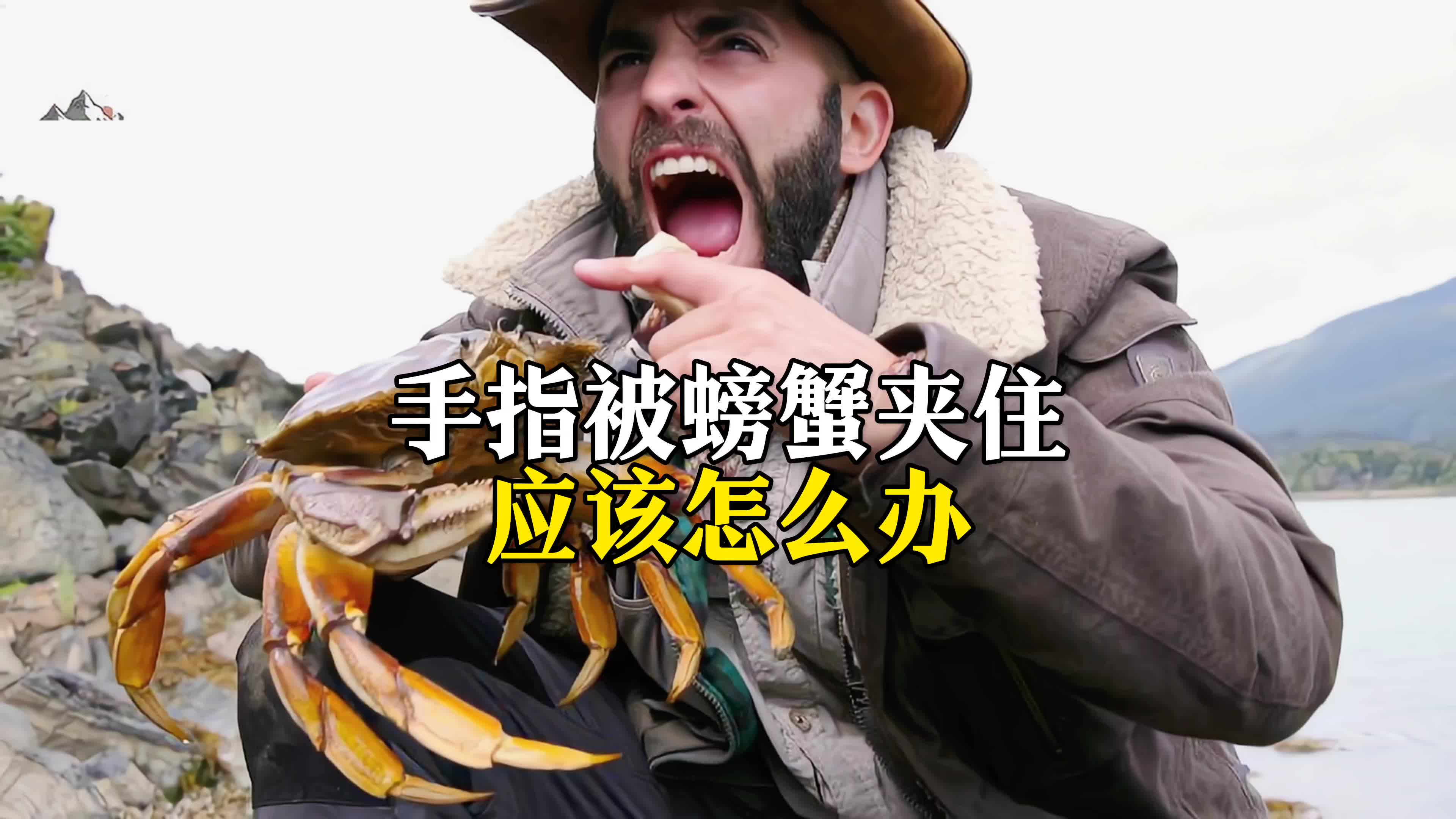 手指被螃蟹夹住应该怎么办?