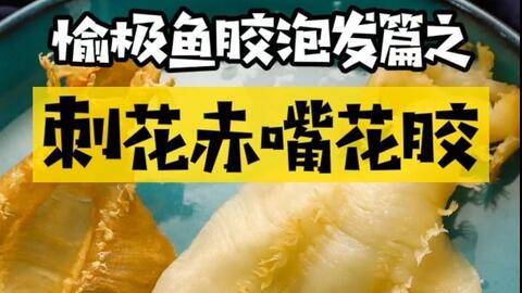 搜索 哔哩哔哩 つロ干杯 Bilibili