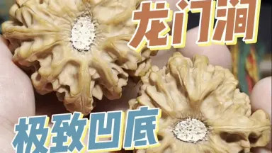 文玩核桃龙门涧-哔哩哔哩_Bilibili