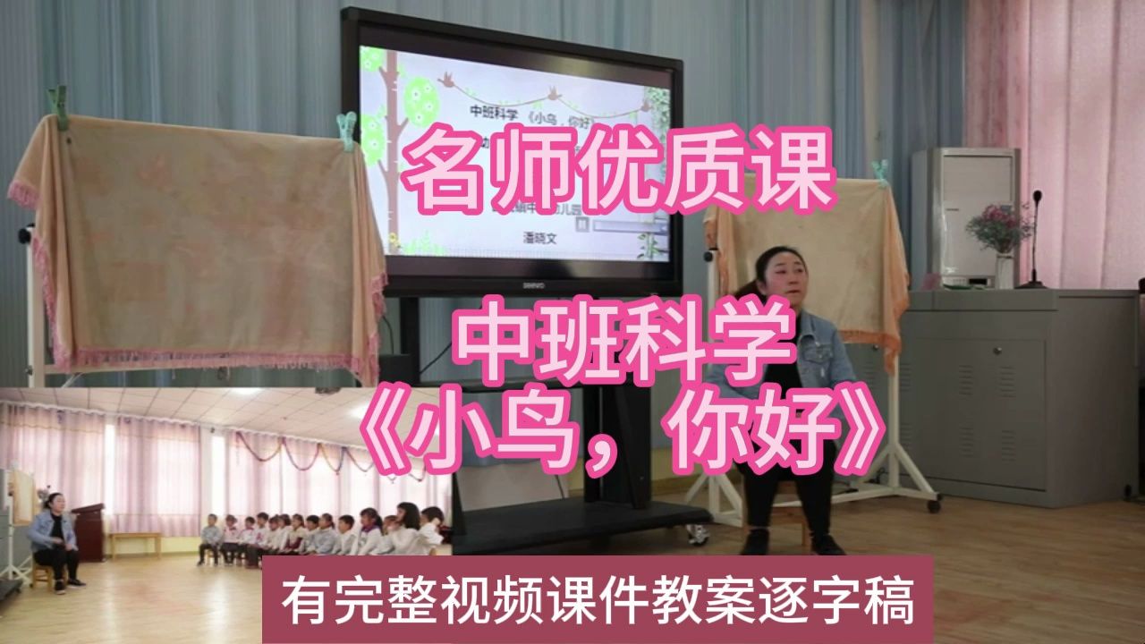 科学优质课中班科学《小鸟,你好》2019:幼儿园新课标名师优质课公开课