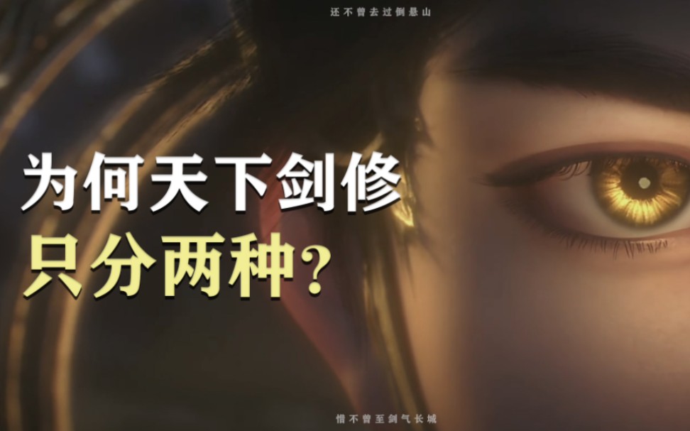 为何天下剑修只分两种?