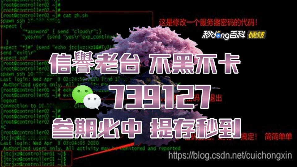 7分钟了解彩票查询结果