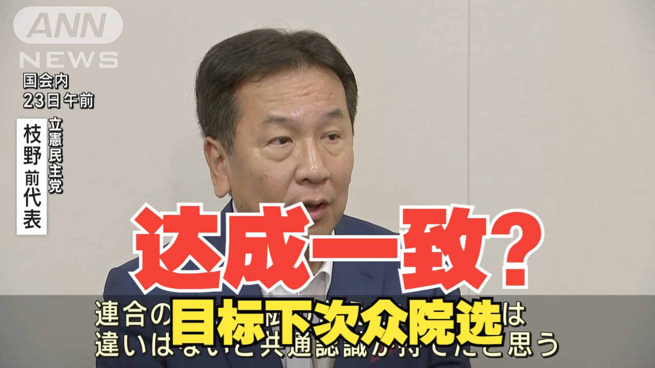 【立民】枝野表示和连合会长芳野达成共识,并且汇报了参选状况(ANN/8.23)哔哩哔哩bilibili