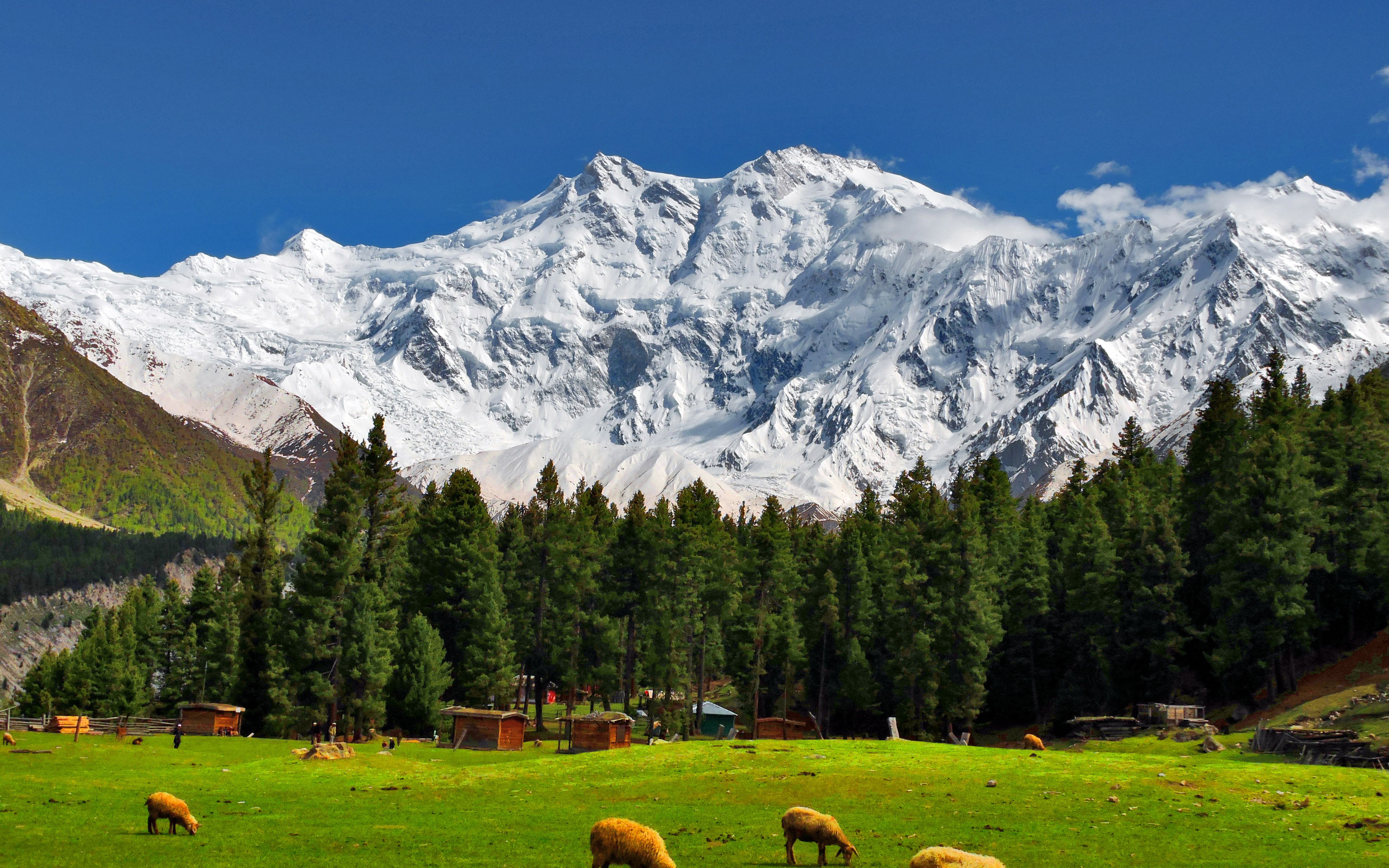 fairy meadows和南迦帕尔巴特峰