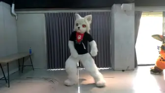 Télécharger la video: 以茶會毛表演ケモノ着ぐるみで[金曜日のおはよ]う踊ってみた Fursuit Dance