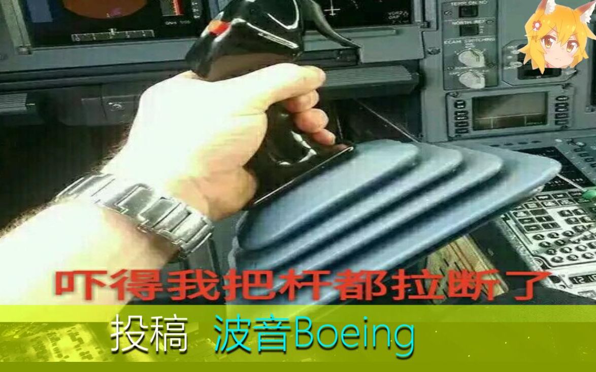 航空圈内外的沙雕硬核图片|封面投稿真的是叫“波音Boeing”的B站用户..|搞笑投稿7期哔哩哔哩bilibili