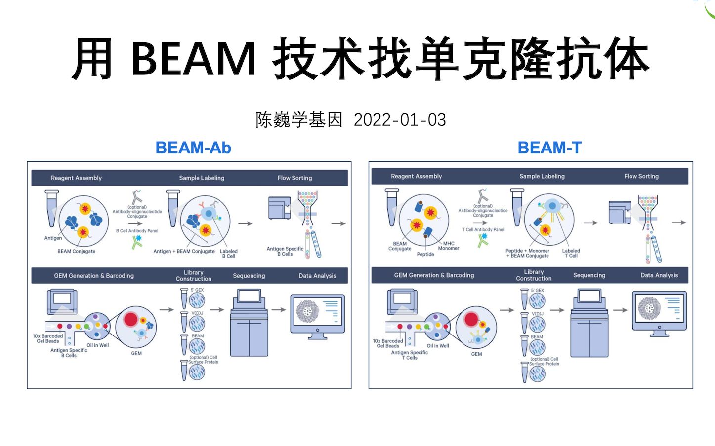 【陈巍学基因】用 BEAM 技术找单克隆抗体哔哩哔哩bilibili