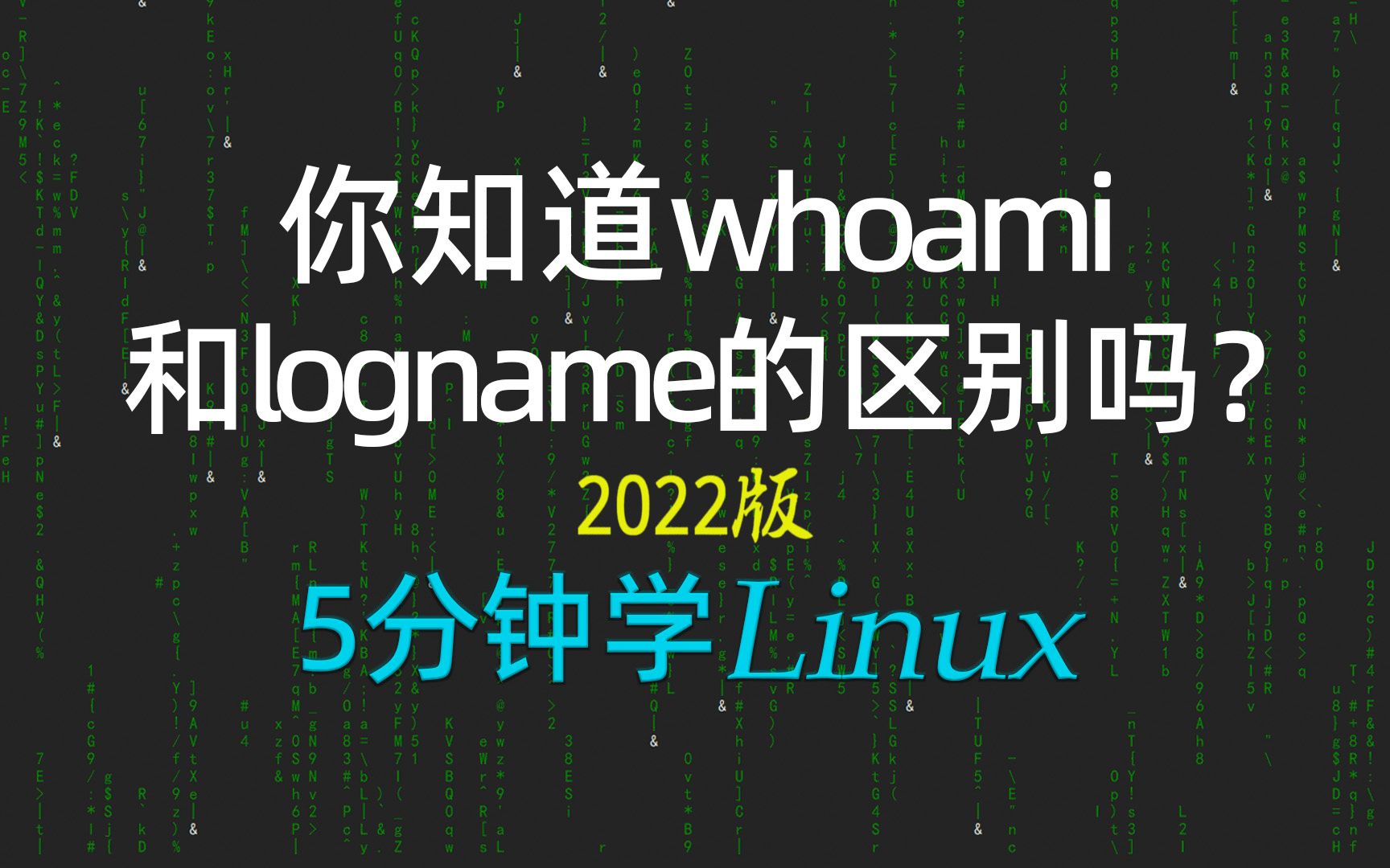 [5分钟学linux] 33认识linux的伪终端和虚拟终端;w、whoami和logname的区别2022新linux极速入门教程 #科技猎手#哔哩哔哩bilibili