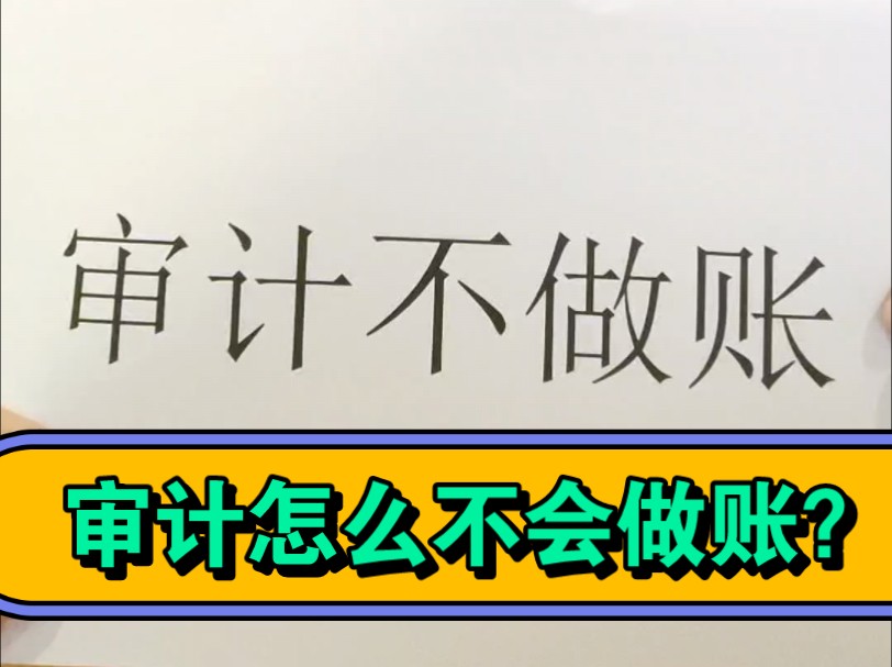 啥?审计不会做账怎么查出问题的?哔哩哔哩bilibili