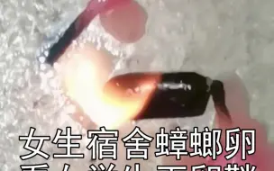 Video herunterladen: 女生宿舍发现了蟑螂卵鞘，看看教科书式的处理方式。有一说一的，这下手比我还狠！