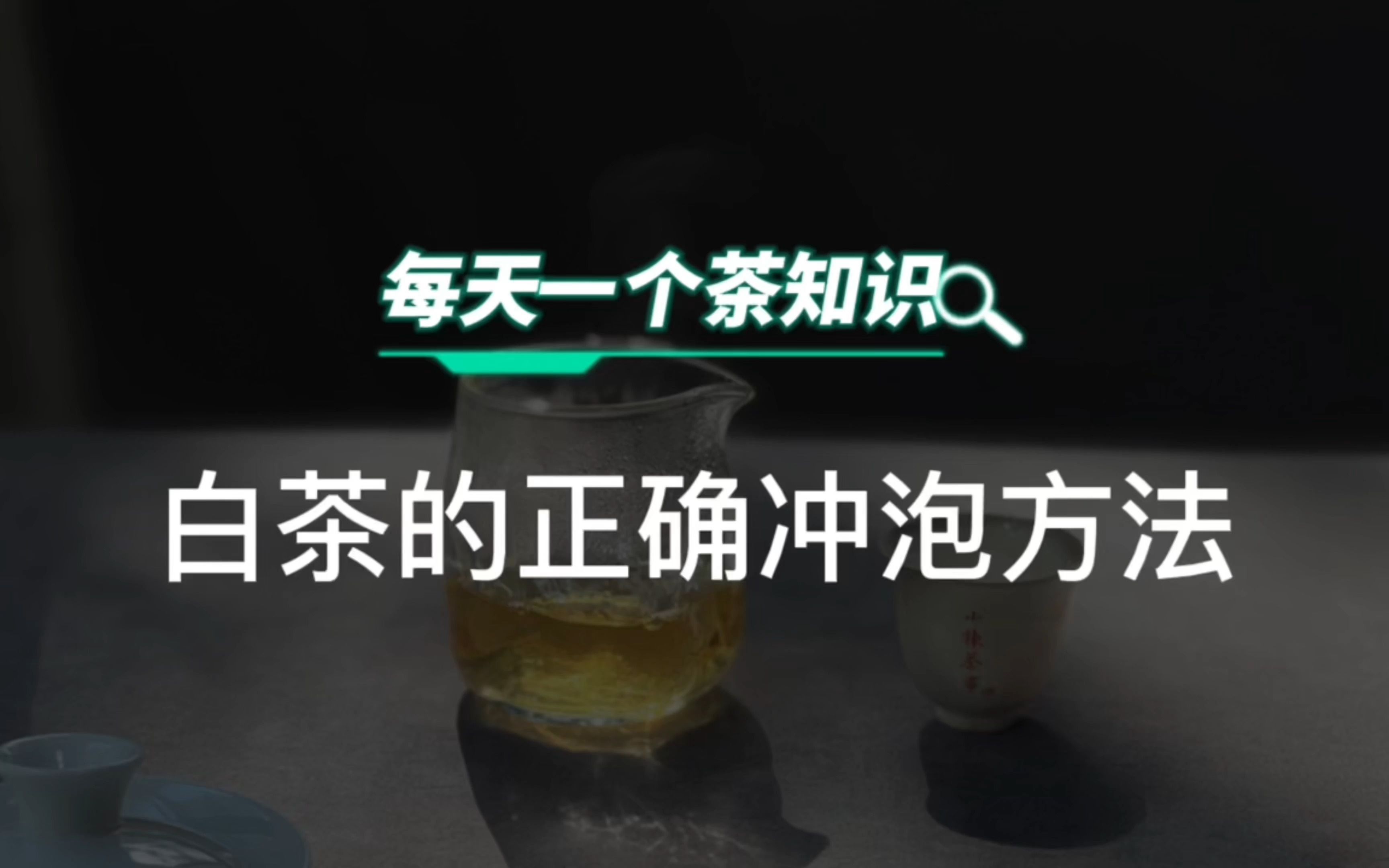 白茶的正确冲泡方法,一次性教你泡出好茶汤!哔哩哔哩bilibili