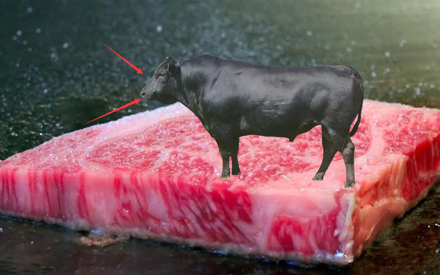 同样是牛肉,为什么日本神户牛如此名贵?涨知识了!