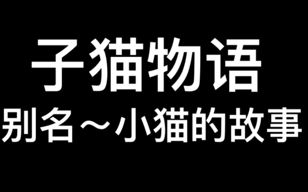 1986年日本电影~子猫物语哔哩哔哩bilibili