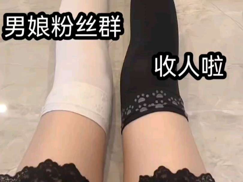 宝宝主页动态加群哦哔哩哔哩bilibili