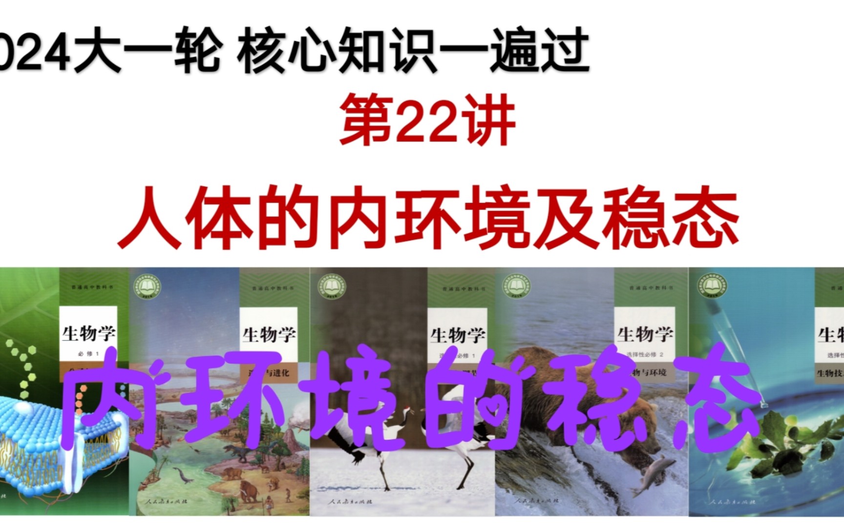 高中生物 2024高考一轮复习 第22讲 人体的内环境及稳态 考点二 内环境的稳态哔哩哔哩bilibili