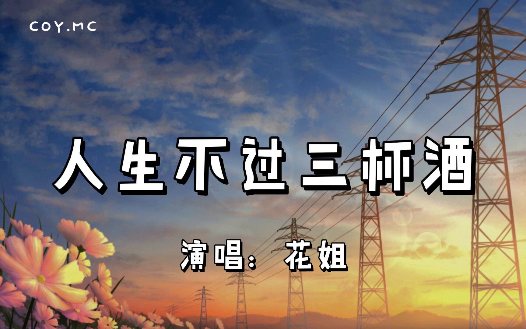 人生不过三杯酒  花姐『人生不过三杯酒醉完还有路要走 酸甜苦辣都藏在这一口』(动态歌词/Lyrics Video)哔哩哔哩bilibili