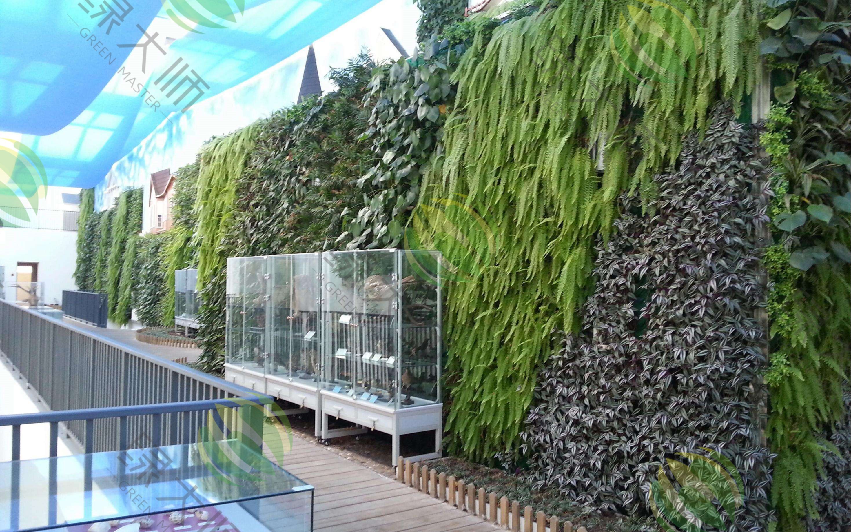 室外植物墙(1)_哔哩哔哩 (゜-゜)つロ 干杯~-bilibili