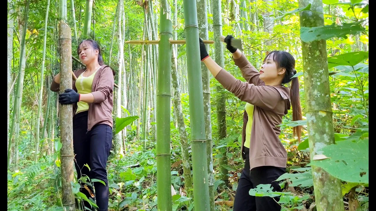 [图]黄小妹是大山漂亮的女孩，在深山中穿梭，户外深山打野她很认真